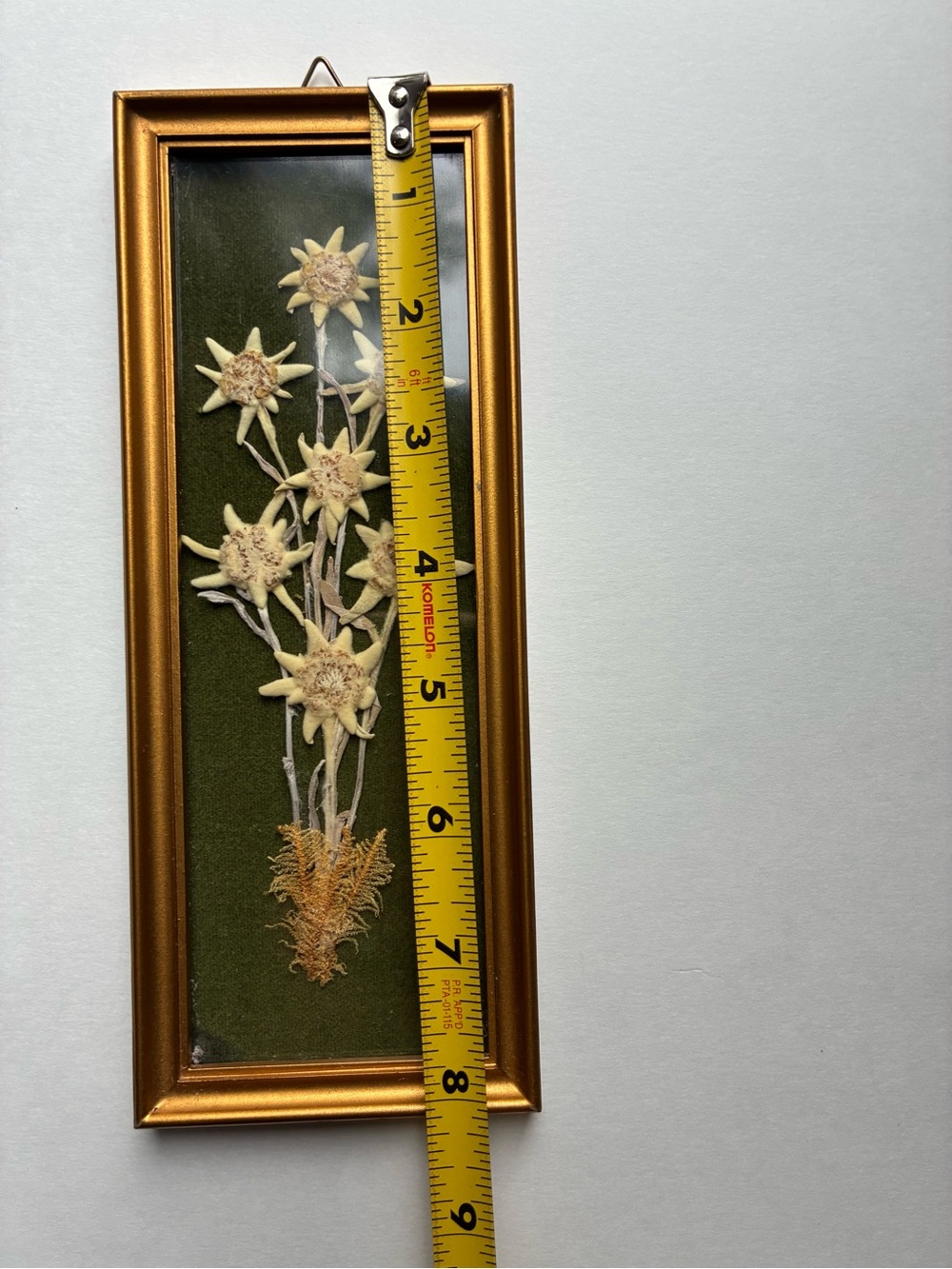 Vintage Moody Botanical Pressed Floral Framed Small Wall Art - Picture 3 of 4